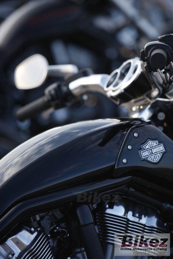 Harley-Davidson VRSCF V-Rod Muscle