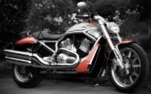 Harley-Davidson_VRSCR_Street_Rod_2006