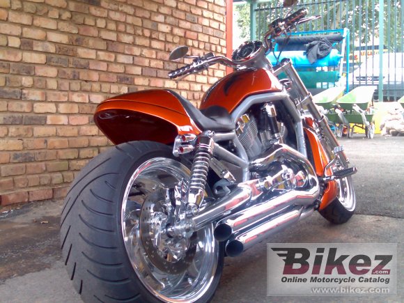 Harley-Davidson VRSCSE Screamin Eagle V-Rod