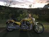 Harley-Davidson_VRSCSE_Screamin_Eagle_V-Rod_2006