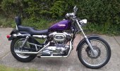 Harley-Davidson_XL_1200_C_Sportster_Custom_2000