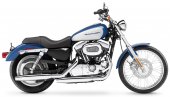 Harley-Davidson_XL_1200_C_Sportster_Custom_2005