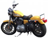 Harley-Davidson_XL_1200_R_Sportster_2005