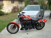 Harley-Davidson_XL_1200_R_Sportster_2005