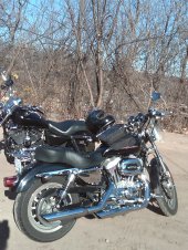Harley-Davidson_XL_1200_R_Sportster_Roadster_2004