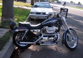 Harley-Davidson_XL_1200C_Sportster_1200_Custom_2003