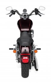 Harley-Davidson_XL_1200L_Sportster_1200_Low_2011