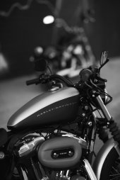Harley-Davidson_XL_1200N_Sportster_1200_Nightster_2010