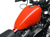 Harley-Davidson XL 1200X Sportster Forty-Eight