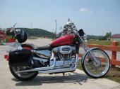 Harley-Davidson XL 883 C Sportster Custom
