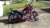Harley-Davidson_XL_883_C_Sportster_Custom_2005