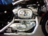 Harley-Davidson_XL_883C_Sportster_883_Custom_2003