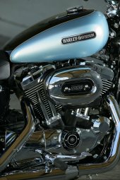 Harley-Davidson_XL1200L_Sportster_Low_2007