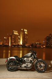 Harley-Davidson_XL1200N_Sportster_1200_Nightster_2008