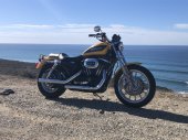 Harley-Davidson XL1200R Sportster Roadster