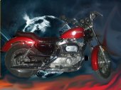 Harley-Davidson_XLH_1000_Sportster_1985