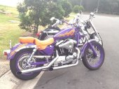 Harley-Davidson_XLH_Sportster_883_Standard_1991