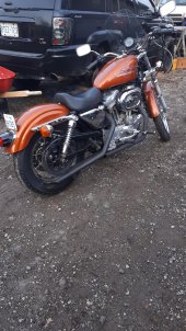 Harley-Davidson_XLH_Sportster_883_Standard_2000