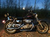 Harley-Davidson_XLS_1000_Roadster_1984
