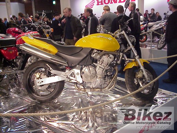 Honda CB 600 F Hornet