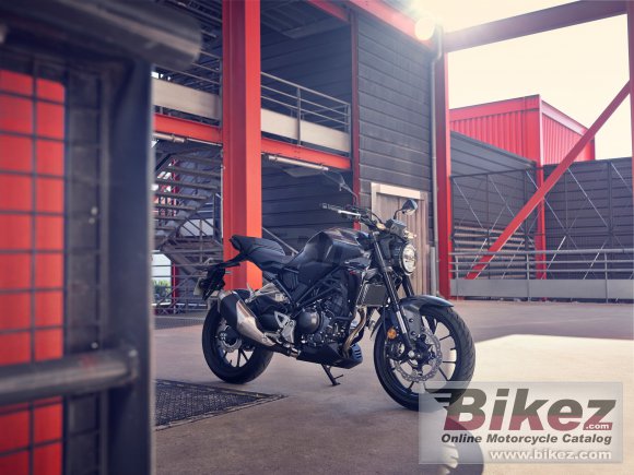 Honda CB300R Neo Sports Cafe 