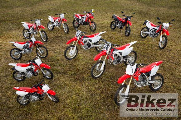 Honda CRF110F