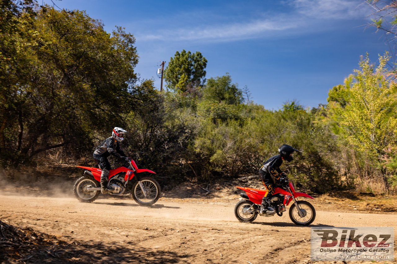 Honda CRF110F