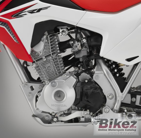 Honda CRF125F