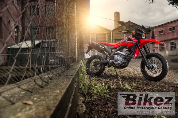 Honda CRF250M