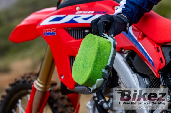 Honda CRF250RX