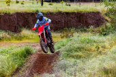 Honda CRF250RX