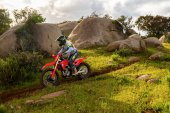 Honda_CRF250RX_2025