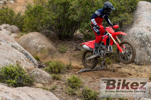 Honda CRF250RX