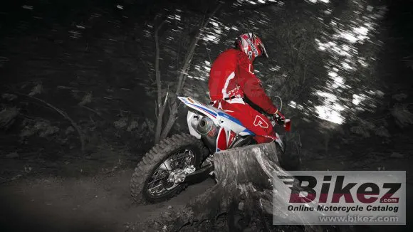 Honda CRF250X