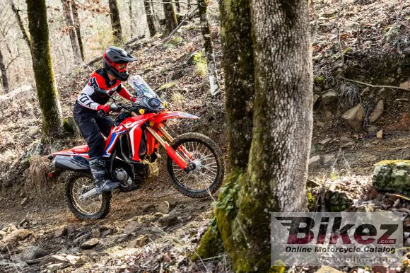 Honda CRF300L Rally