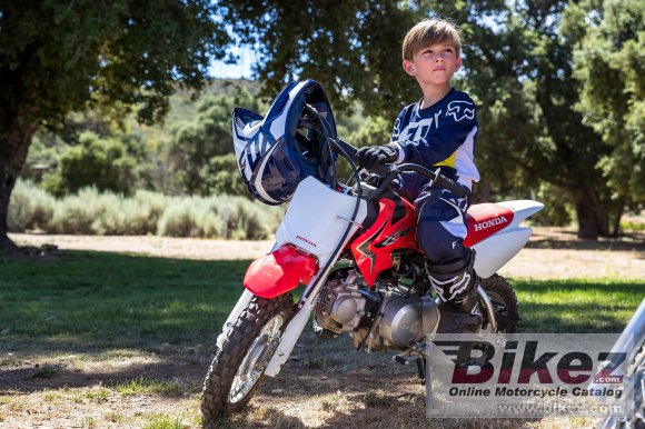 Honda CRF50F