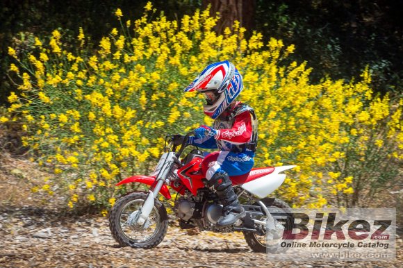 Honda CRF50F