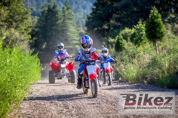 Honda CRF50F