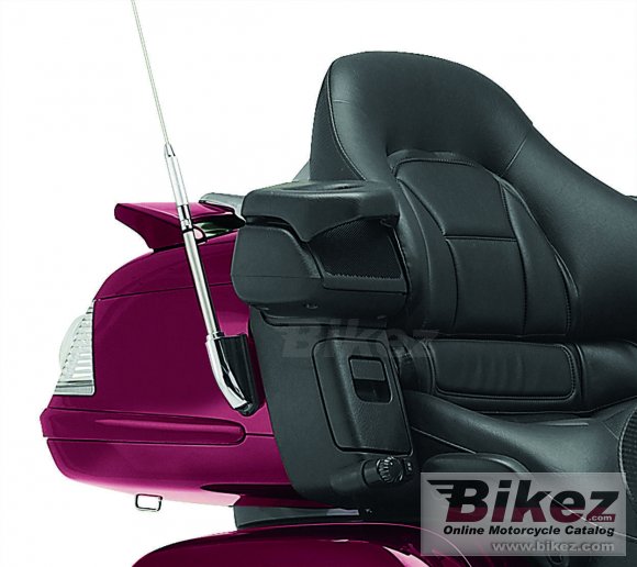 Honda Gold Wing Airbag