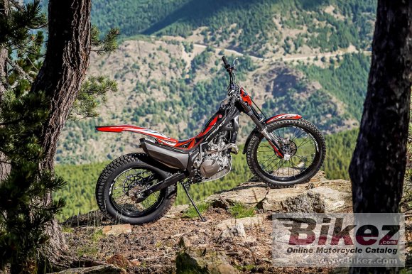 Honda Montesa Cota 4RT 260R