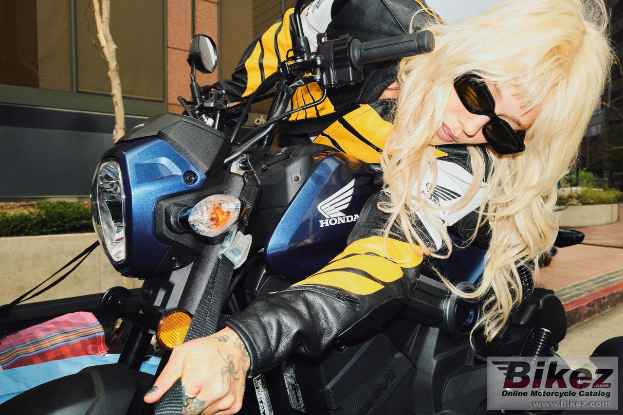 Honda Navi