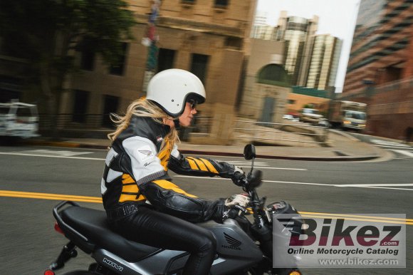 Honda Navi Honda Navi