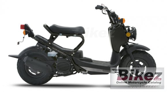 Honda Ruckus