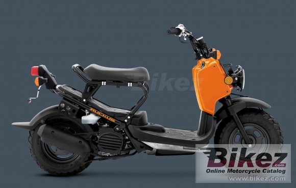 Honda Ruckus