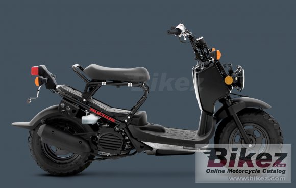 Honda Ruckus