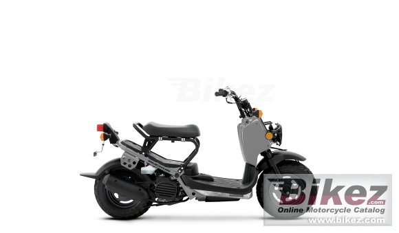 Honda Ruckus