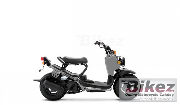 Honda Ruckus