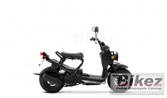 Honda Ruckus