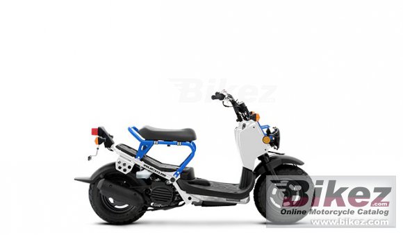 Honda Ruckus