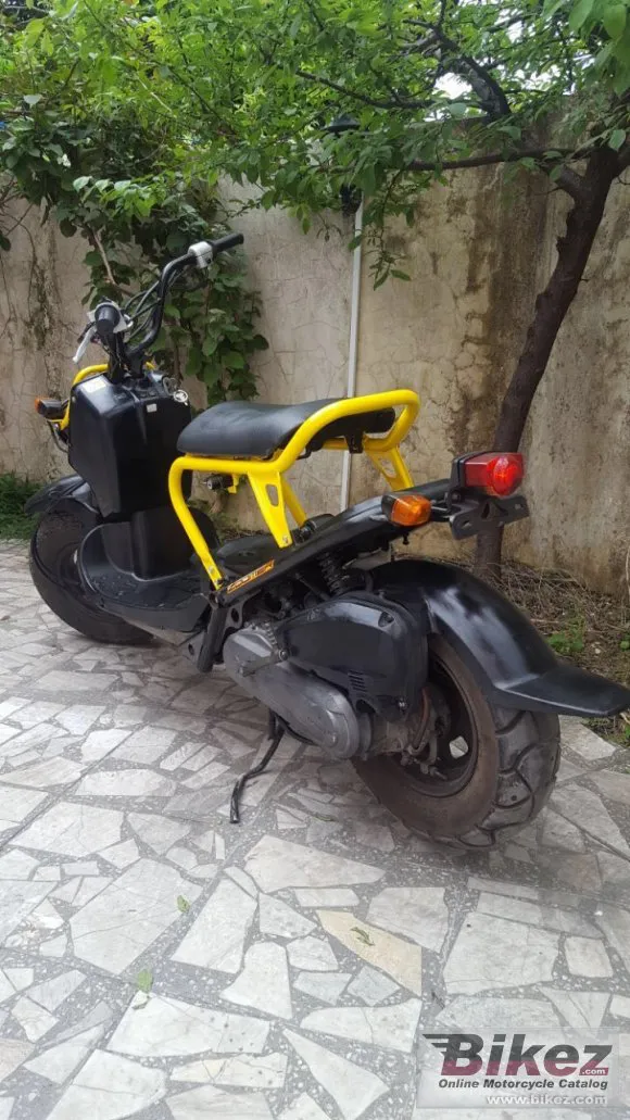 Honda Ruckus